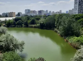 vdaka nam sa rozbehla par ticipacia verejnosti a sutaze na upravy verejnych  priestorov napr rohlik